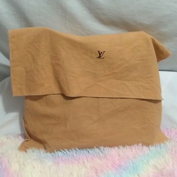 Authentic Louis Vuitton Monogram Mini Besace Mary Kate Shoulder Bag - Picture 14 of 14